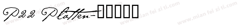 P22 Platten字体转换
